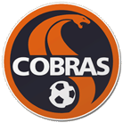 Wappen von Club de Ftbol Cobras